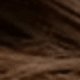 S4