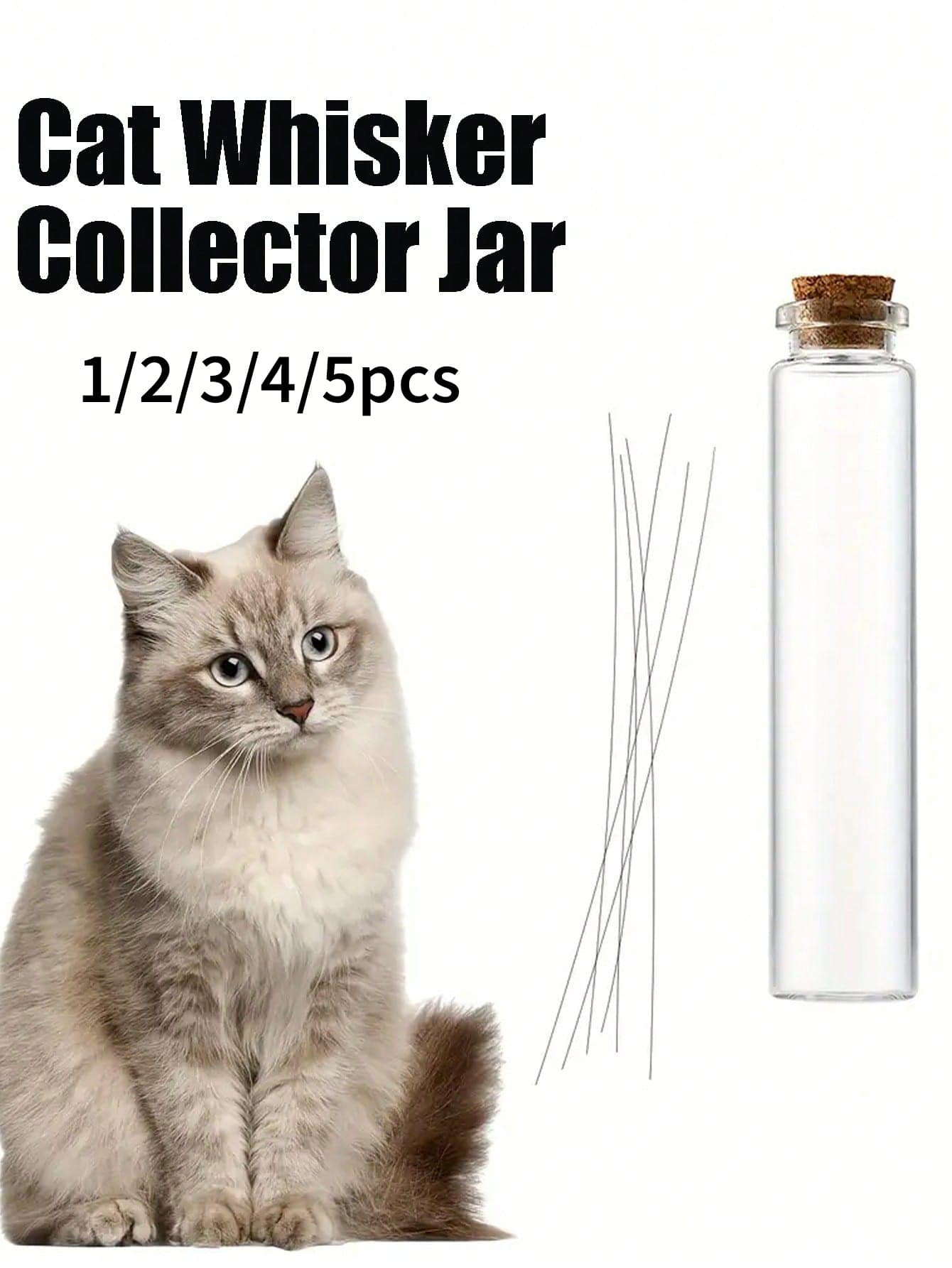 迷你玻璃花瓶，猫须收集器，送给爱猫人士的贴心礼物，四季皆宜
