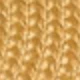 Pumpkin Yellow
