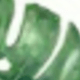 多色