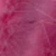 Pink Rabbit Tail Grass 1
