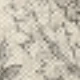 Light Grayish Brown
