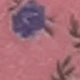 Multicolored Blue and White Flowers