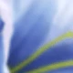 Biru