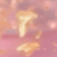 彩色