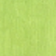 Fluorescent Green 2
