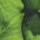 Large Leaf Pattern