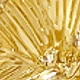 Dorado