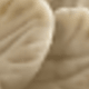 نماذج متعددة 2