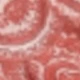Red Bean Paste Powder