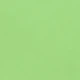 Light Green Top + Light Green Shorts