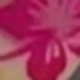 彩色