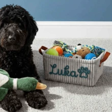 1pc Customizable Storage Basket Personalized Dog Toy Basket Corduroy Pet Storage Basket With Name Personalized Name Basket With Portable Handle Desktop Organizer Clothing Storage Home Decor Perfect Gift Laundry Basket, Gift For Pet Lovers - Multicolor - View 6