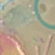 Multicolor
