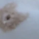 Snowflakes