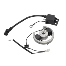 Motorcycle Internal Rotor Ignition Stator Flywheel Kit Replacement Part For SX 50 50cc 2 Stroke Enduro Motocross Dirt Bike Moped - A - View 3