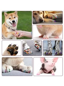 12pcs Dog Nail Polish Pens Quick Dry 12 Colors Pet Nail Polish For Dogs Or Cats Easy Application Dog Nail Polish Fast Dry Dog Polish - Great Dog Accessories Puppy Nail Polish Set - Multicolor - View 9