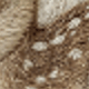 Marrón