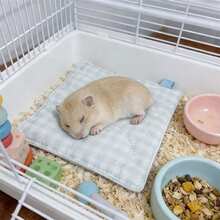 1pc Pet Mat Rabbit Bedding, Rabbit Winter Warm Bedding, All-Season Small Pet (E.G. Hamster, Rabbit, Guinea Pig) Sleeping Bed - Multicolor - View 1