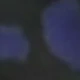 彩色