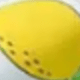 Watermelon Lemon Recliner