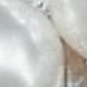 Five-tooth Silver B