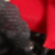 Red and Black