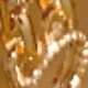 Dorado