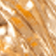 Dorado