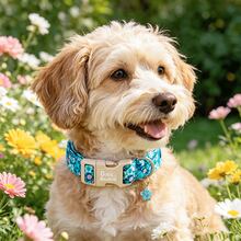 Bobo Rainbow Dog Collar, Spring/Summer Blue Floral Pet Collar, Wildflower Daisy Adjustable Pendant Collar With Lightweight Quick-Release Plastic Buckle, Suitable For Dogs - Mint Blue - View 7