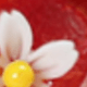 彩色