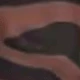 彩色