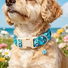 Bobo Rainbow Dog Collar, Spring/Summer Blue Floral Pet Collar, Wildflower Daisy Adjustable Pendant Collar With Lightweight Quick-Release Plastic Buckle, Suitable For Dogs - Mint Blue - View 6