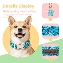 Bobo Rainbow Dog Collar, Spring/Summer Blue Floral Pet Collar, Wildflower Daisy Adjustable Pendant Collar With Lightweight Quick-Release Plastic Buckle, Suitable For Dogs - Mint Blue - View 3