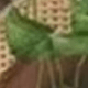 彩色