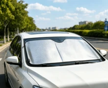 Vizoare auto - argint - Vizualizare 1