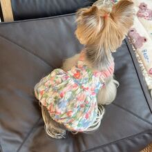 1pc Colorful Breathable Pet Tank Dress, Dog Clothes Cat Clothes Pet Dress - Multicolor - View 12
