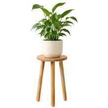 VingeGa 11英吋(約28cm)圓形室內木製植物架，中世紀現代風植物凳，圓形小邊桌，適合大型植物的木製植物凳植物架，室內外花架，適合大型花盆，提供三種不同尺寸，適用於客廳、陽台、辦公室 - 彩色 - 查看 12