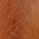 Orange Pink Rabbit Tail Grass