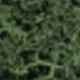 Black and Green 1