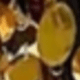 多色