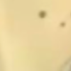彩色