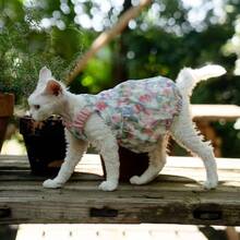 1pc Colorful Breathable Pet Tank Dress, Dog Clothes Cat Clothes Pet Dress - Multicolor - View 5