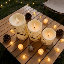 3 Packs Flameless LED Birch Bark Pillar Candles, Remote Control & Timer, Realistic Dancing Warm Flickering Flame, 2xAA Battery Powered, Rustic Decor Indoor Outdoor For Wedding, Party, Birthday, Dining Table & Home Ornament - 3pack-with Remote - View 4