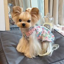 1pc Colorful Breathable Pet Tank Dress, Dog Clothes Cat Clothes Pet Dress - Multicolor - View 3