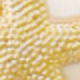 Starfish Snails