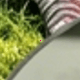 彩色