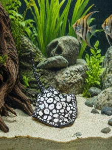1個多色矽膠逼真魟魚模型，常用於水族箱或魚缸裝飾，魚類用品 - 歡樂水族 - 查看 4