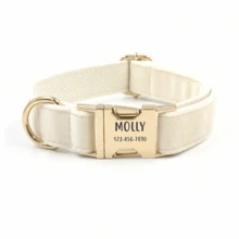 Customized Dog ID Collar + Leash Set, Personalized Dog Tag Pendant Accessories For Small And Medium Dogs, Great Gift Decoration For Your Pets, Engraved Stainless Steel, Fashionable, Colorful, Vintage, Cute, Minimalist, Customized, Unique, Personalized Pet, Anniversary, Birthday - Multicolor - View 41