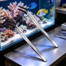 25cm 雙用不鏽鋼鑷子，適用於爬蟲類與魚缸，直頭或彎頭，黑色浸塑頭，防鏽耐腐蝕，多功能餵食、種植與清潔用 - 24.5cm/9.65IN彎鑷 - 查看 14